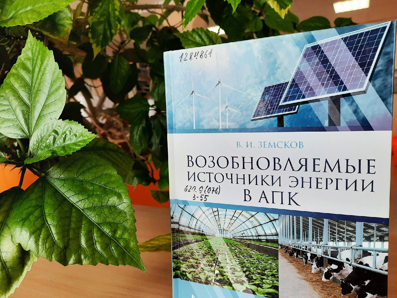 Эко — день в библиотеке. — Тогучинская центральная библиотека имени М. Я. Черненка